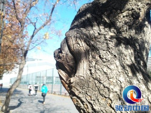 5.5英寸屏+骁龙800四核 联想VIBE Z评测第18张图