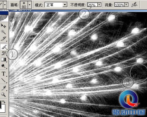 PS教程:PS图层通道抠出精细白孔雀羽毛 PS教程:PS图层通道抠出精细白孔雀羽毛