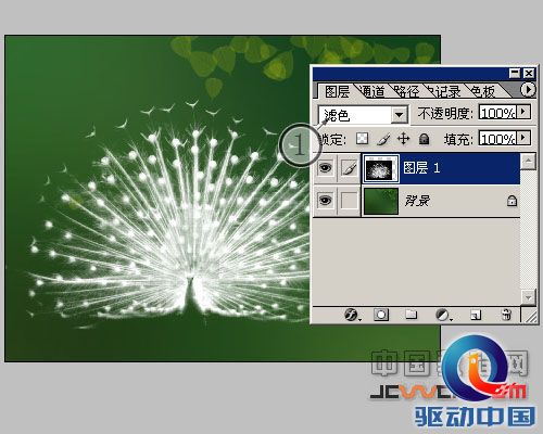 PS教程:PS图层通道抠出精细白孔雀羽毛 PS教程:PS图层通道抠出精细白孔雀羽毛