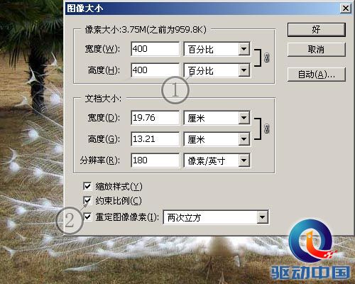 PS教程：PS图层通道抠出精细白孔雀羽毛