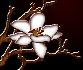 PhotoShop制作一幅古色古香的木雕花画效果教