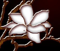 PhotoShop制作一幅古色古香的木雕花画效果教