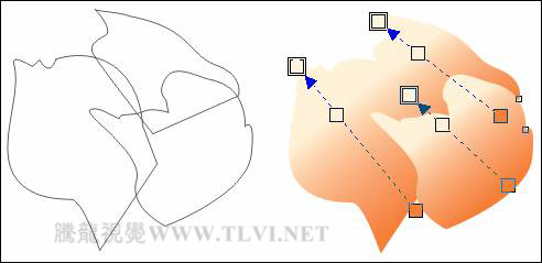 CorelDRAW绘制人物工笔画美女人物教程,PS教程,思缘教程网