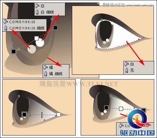 CorelDRAW绘制人物工笔画美女人物教程,PS教程,思缘教程网