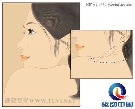 CorelDRAW绘制人物工笔画美女人物教程,PS教程,思缘教程网