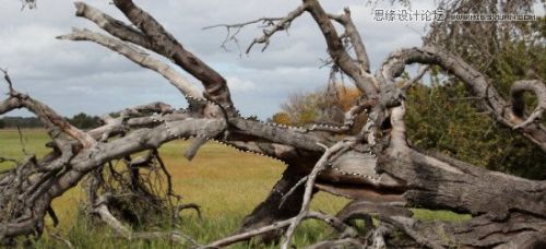 Photoshop合成奇幻风格的人像海报教程,PS教程,思缘教程网