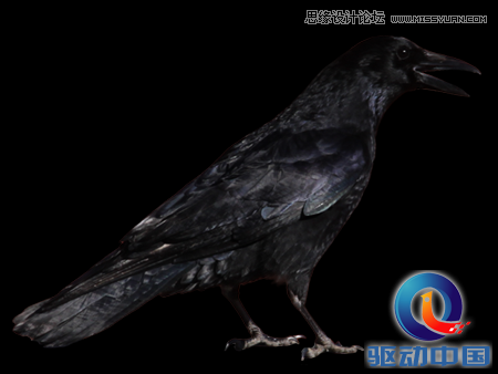 Photoshop合成奇幻风格的人像海报教程,PS教程,思缘教程网