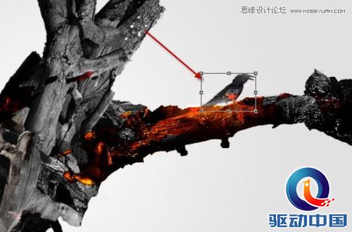 Photoshop合成奇幻风格的人像海报教程,PS教程,思缘教程网