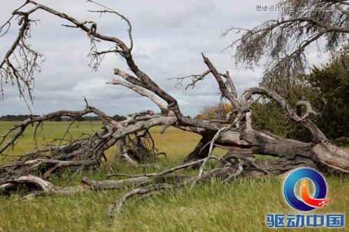 Photoshop合成奇幻风格的人像海报教程,PS教程,思缘教程网