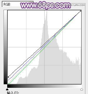 Photoshop调出公园美女唯美梦幻的紫色调,PS教程,思缘教程网