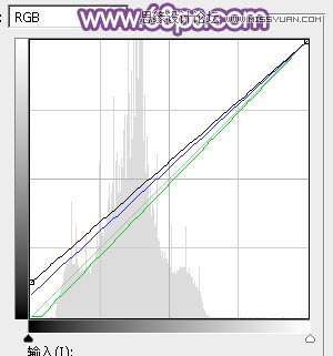 Photoshop调出公园美女唯美梦幻的紫色调,PS教程,思缘教程网
