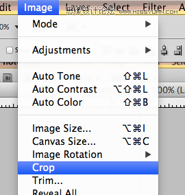 Photoshop巧用自定义形状快速打造图案,PS教程,思缘教程网