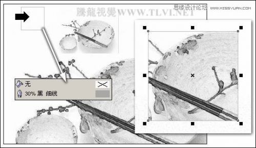 CorelDRAW实例教程：绘制中国风瓷器醉花阴,PS教程,思缘教程网