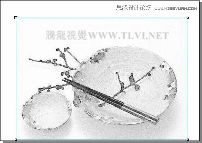 CorelDRAW实例教程：绘制中国风瓷器醉花阴,PS教程,思缘教程网