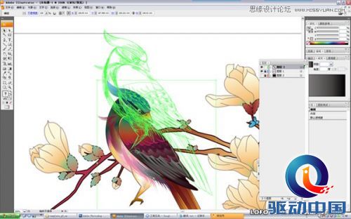 Illustrator绘制矢量风格的中国花鸟画,PS教程,思缘教程网