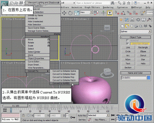 3D MAX使用NURBS方法给贪吃虫建模,PS教程,思缘教程网