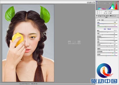 Photoshop结合CR给人像添加美丽彩妆,PS教程,思缘教程网
