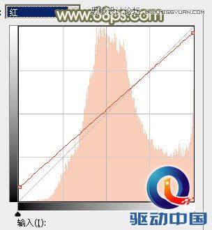 Photoshop调出外景女孩秋季淡雅黄色调,PS教程,思缘教程网