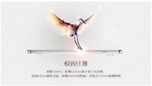 点击查看原图