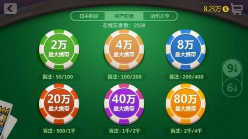 游手好闲98期:天天德州ALL-in 技巧
