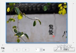 色彩怪兽 爱普生R330照片打印机全面解读