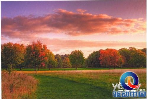 色彩怪兽 爱普生R330照片打印机全面解读