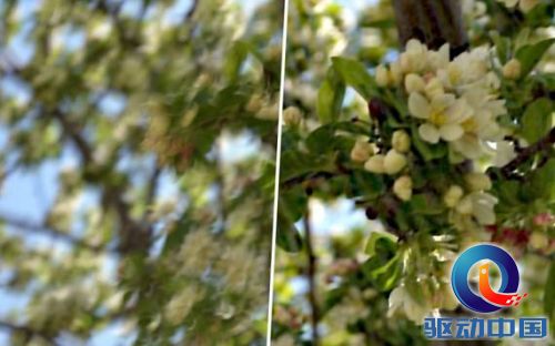 说明: QQ截图20140421144750.jpg