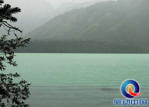喀纳斯湖水怪事件之谜(组图)