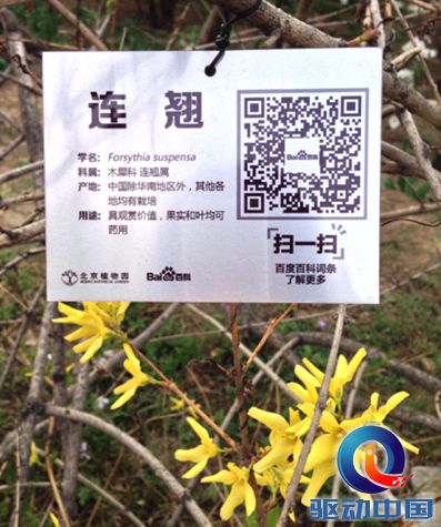 QQ截图20140430100407