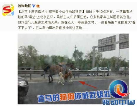 搜狗地图 互联网地图