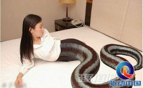 农民挖出人形怪物 疑为传说中的千年太岁(10)