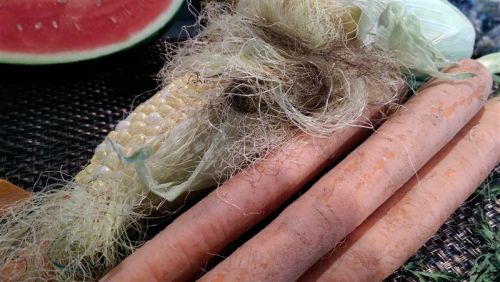 激光对焦给力！LG新旗舰G3拍照测试：效果超好