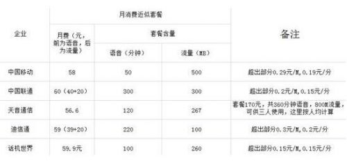 虚拟运营商 虚拟运营商