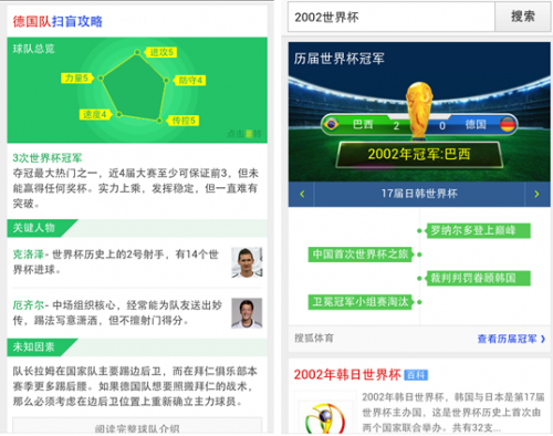 14-一张图看懂世界杯 神马搜索推“球迷速成手册”-656