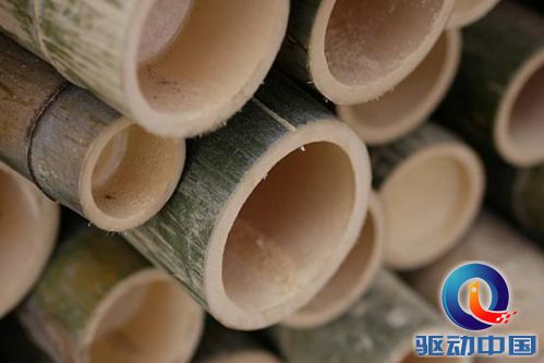 说明: D:\My Documents\桌面\【一加竹制】素材参考\竹制限量版图片素材\文章用\5.jpg