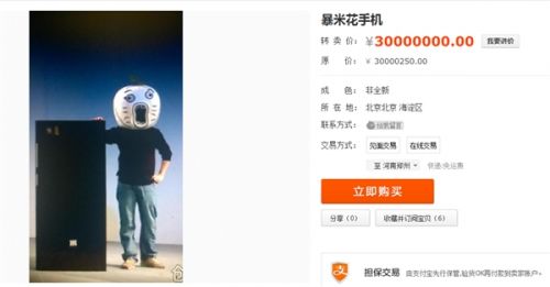 王尼玛暴米花手机现身淘宝:真卖30000000元
