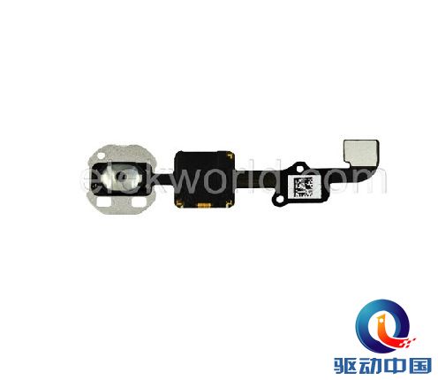 iPhone 6暴多零件曝光!五脏六腑都出来了