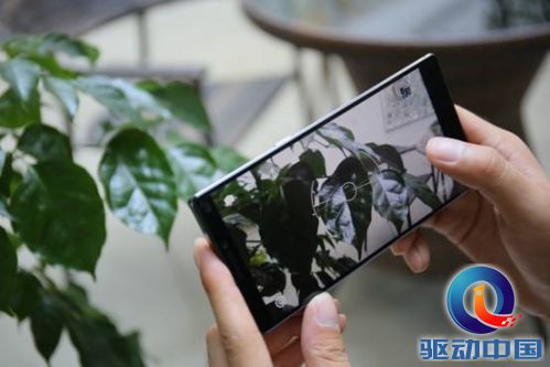 说明: 3Z8B8707.JPG