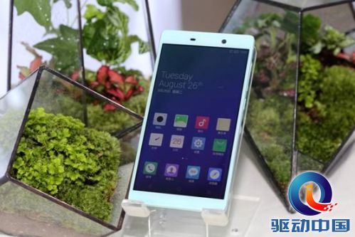 说明: E:\IUNI\原片\模特选出片\产品\绿\IMG_3535.jpg