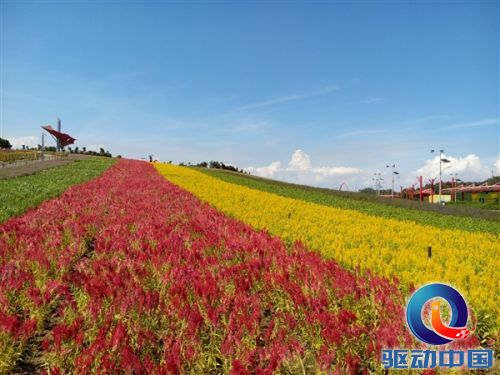 国产之最!魅族MX4 2070万摄像头样张