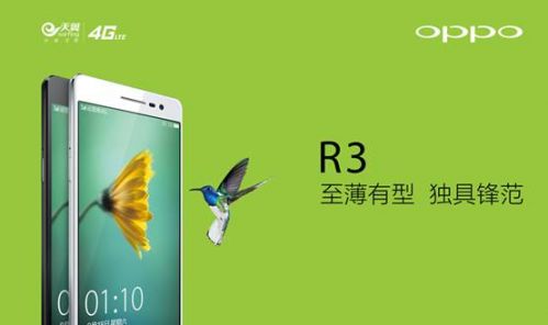 说明: 图1.jpg