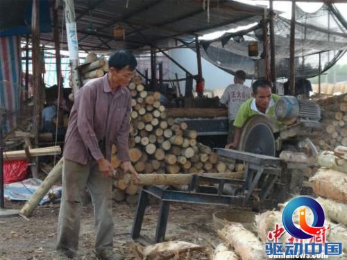 广西南宁锯木工莫新昌因长相似中国首富马云而备受关注。　曹旺　摄