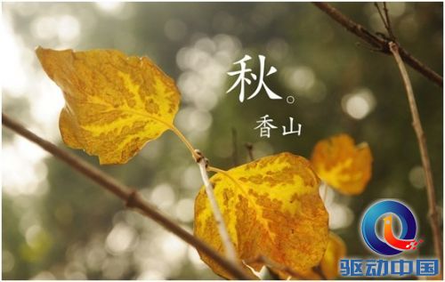 QQ图片20141021104902