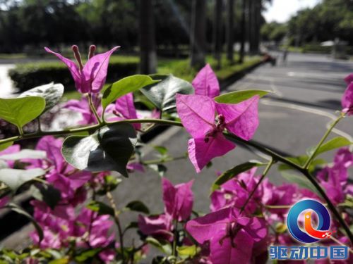 华为Mate7 华为Mate7