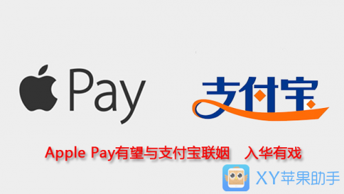 XY苹果助手：Apple Pay有望与支付宝联姻　入华有戏