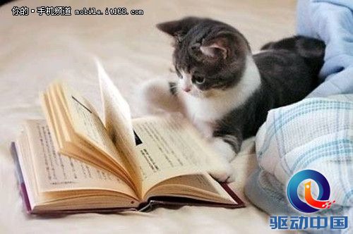 问题来了！APP上QQ阅读和iReader选谁？