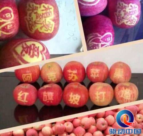 QQ截图20141110110858