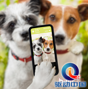 QQ截图20141127164828