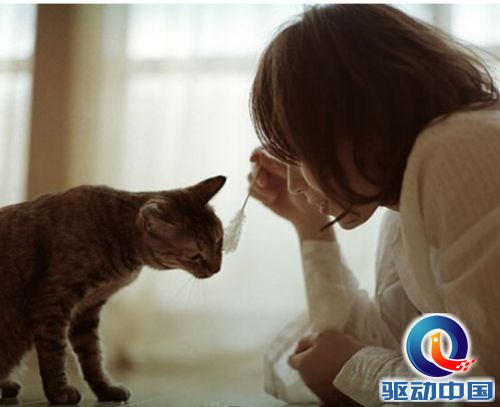 QQ截图20141216171231