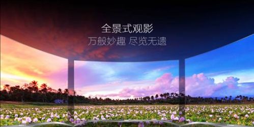 0023ae8305bc15fa233a4b